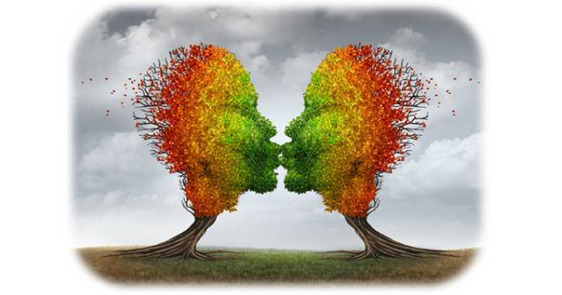 Long Term Relationship