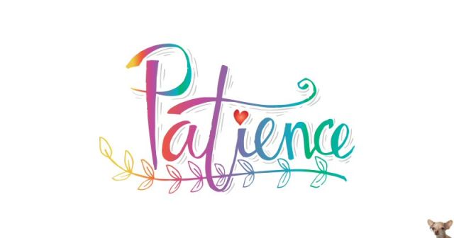 Patience