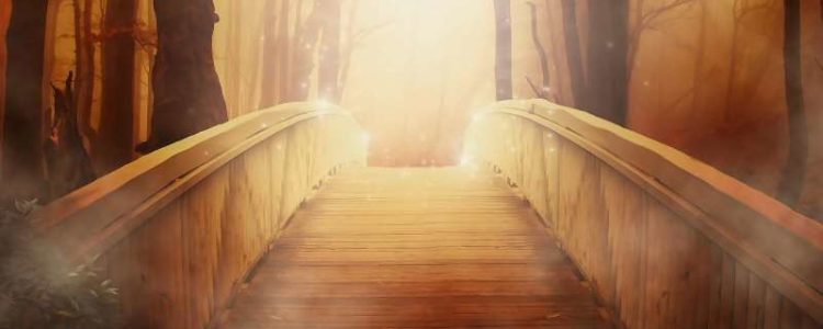 Life Path