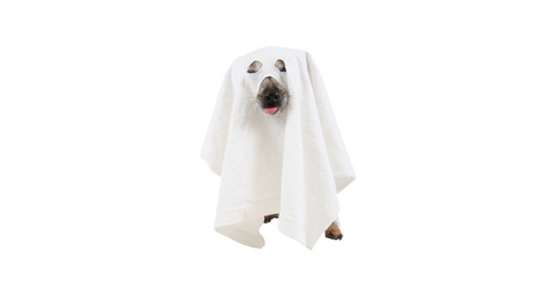 Ghost Dog