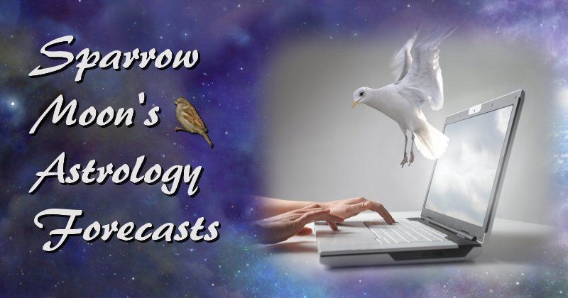 Sparrow Moon's Astrology Forecasts