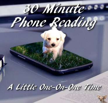 30 Min Phone Readings