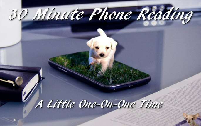 30 Minute Phone Reading Sale